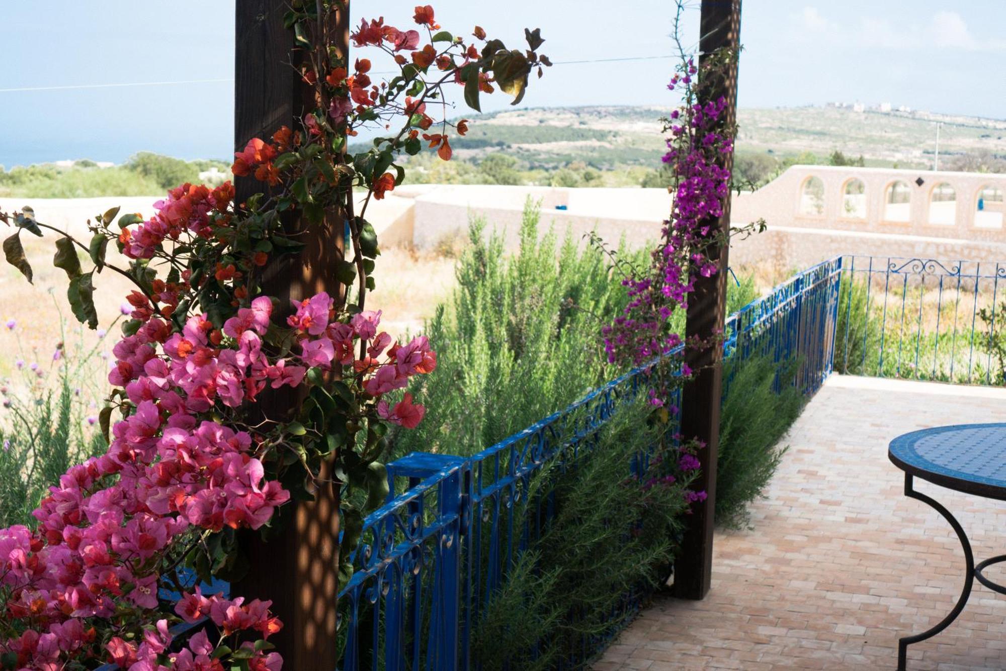 אסאוירה Villa Habibi מראה חיצוני תמונה